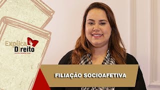 Explica Direito Filiação Socioafetiva  2019 [upl. by Eseuqram393]