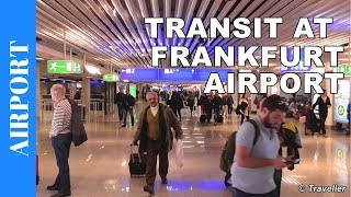 TRANSIT WALK AT FRANKFURT Airport FRA Terminal 1  Connection Flight Transfer Arriving amp Departing [upl. by Adah858]